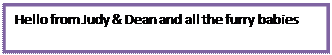 Text Box: Hello from Judy & Dean and all the furry babies